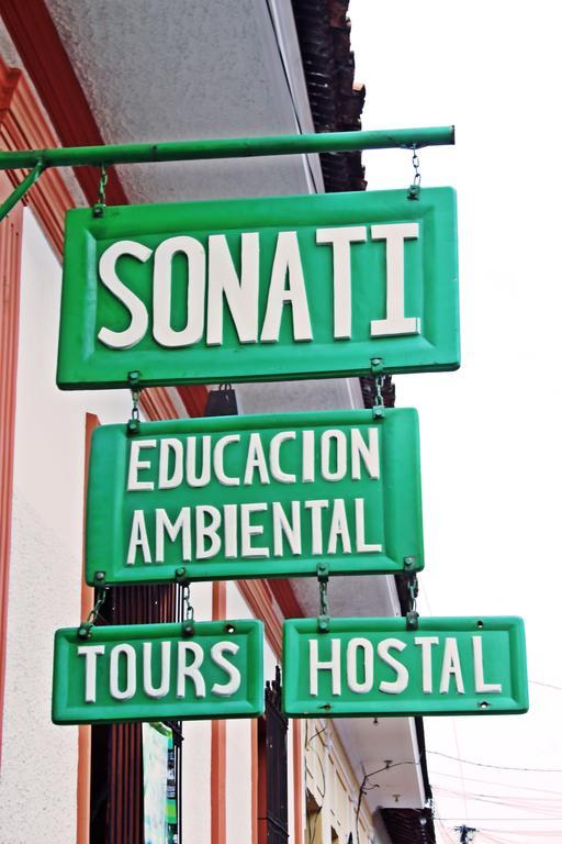 Hostal Sonati León Extérieur photo